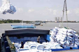 Ngành mía đường trước sức ép hội nhập