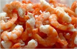 Tôm xuất khẩu đang được giá