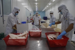 Giá cá tra xuất khẩu tăng mạnh