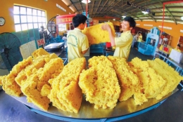 Cơ hội xuất khẩu cho doanh nghiệp ngành nhựa và cao su