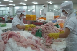 Xuất khẩu cá tra tăng 5,4% trong nửa đầu năm 2016
