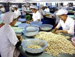 Nông sản xuất khẩu giảm giá mạnh