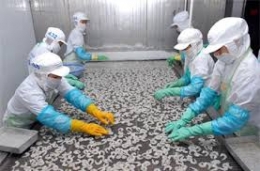 Xuất khẩu nông, lâm, thủy sản tháng 8 đạt 2,76 tỷ USD