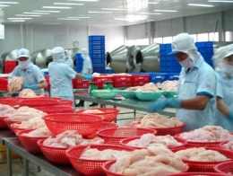 Xuất khẩu cá rô phi sẽ tăng trưởng mạnh