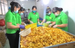 Nông nghiệp tăng trưởng dương trở lại, xuất siêu 5,6 tỷ USD