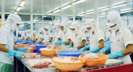 Cơ hội gia tăng xuất khẩu thuỷ sản khi tham gia TPP