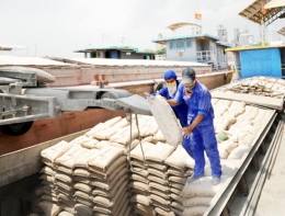 Xuất khẩu xi măng đối mặt thách thức