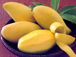 Tin vui trong xuất khẩu xoài