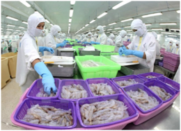 Xuất khẩu thủy sản hưởng lợi nhất nhờ FTA giữa Việt Nam và EAEU