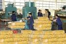 Xuất khẩu cao su sang Trung Quốc sẽ tăng trong 2 tháng cuối năm