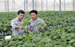 100 đồng vốn FDI vào Việt Nam mới có 1 đồng vào nông nghiệp