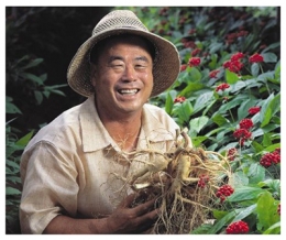 Việt Nam là thị trường nhập nhân sâm Hàn Quốc lớn nhất khu vực