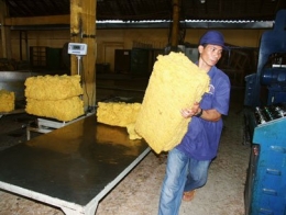 Giá trị xuất khẩu cao su sang Trung Quốc, Malaysia giảm mạnh