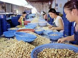 Đầu cơ điều thô, bị châu phi hủy hợp đồng