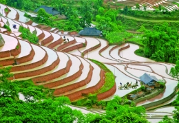 Năm 2015 – Nông nghiệp bước vào “cuộc chiến” chất lượng