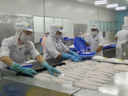 An Giang nâng giá trị cá tra xuất khẩu từ chuỗi liên kết