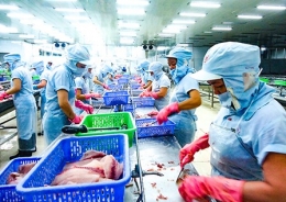 Hướng xuất khẩu 180.000 tấn cá rô phi vào năm 2020