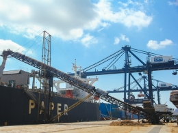 Xuất khẩu dăm gỗ giảm mạnh, doanh nghiệp khó đủ đường