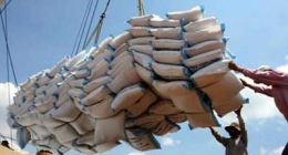 Giá lúa và gạo nguyên liệu xuất khẩu tăng trở lại