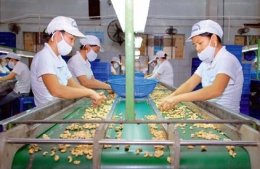 Quý 1, nhập khẩu nông lâm thủy sản ước đạt 5,31 tỷ USD