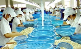 Xuất khẩu nông sản 6 tháng đạt hơn 15 tỷ USD