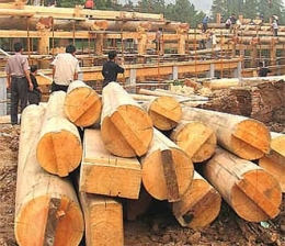 Sản phẩm xuất khẩu từ gỗ của Đồng Nai