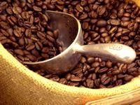 Cà phê, cacao của thị trường Việt Nam 2014