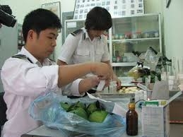 Tạm dừng cấp phép nhập khẩu đối với các sản phẩm giống cây trồng từ Ấn Độ