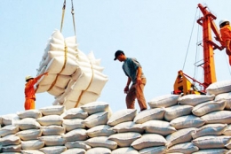 Sáu tháng đầu năm, xuất khẩu hơn 2,65 triệu tấn gạo