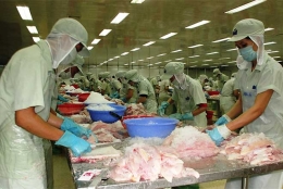 Xuất khẩu hàng thủy sản sang Trung Quốc và Australia