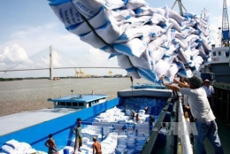 Ưu tiên xuất khẩu gạo chất lượng cao
