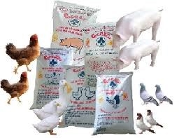 Kim ngạch nhập khẩu thức ăn chăn nuôi 3 tháng đầu năm 2016 giảm 21,8%