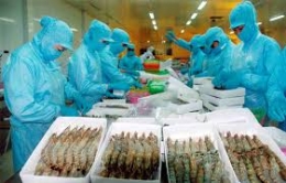 Tôm Indonesia thống trị thị trường Mỹ