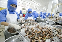 17 doanh nghiệp được phép xuất khẩu thủy sản vào Panama