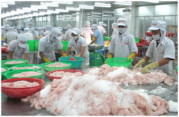 Xuất khẩu cá tra đạt trên 1,6 tỉ USD