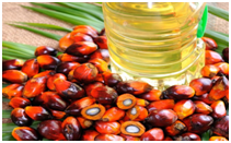 Giá dầu cọ tại thị trường Malaysia tăng cao