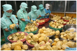 Kim ngạch xuất khẩu rau quả 10 tháng đạt 2 tỷ USD