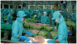 New Zealand tăng nhập khẩu nông sản, thủy hải sản Việt Nam