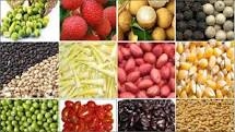 Tổng giá trị xuất khẩu nông sản năm 2016 đạt 32,1 tỷ USD, tăng 5,4% so với năm 2015